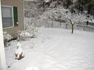 A snowy front yard
