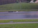 Rain runoff surge across the street