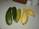 Squash from the garden