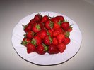 A nice day's strawberry harvest