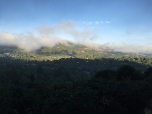Fog over the Berkeley hills
