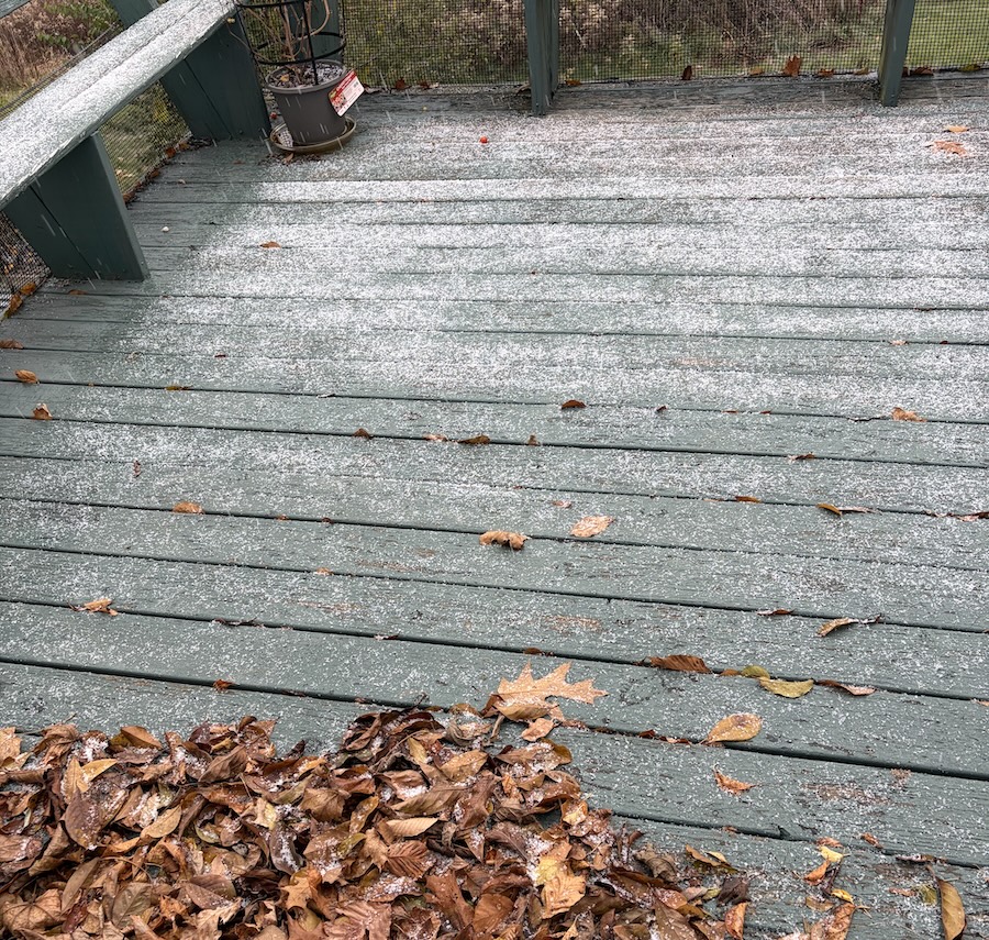 A sprinkling of snow on the back deck, not even full coverage