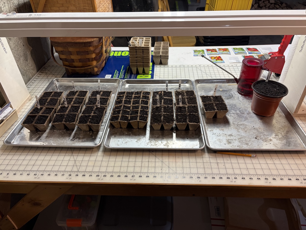Seed starter peat pots on aluminum trays under a single (unlit) LED red/blue grow lamp.