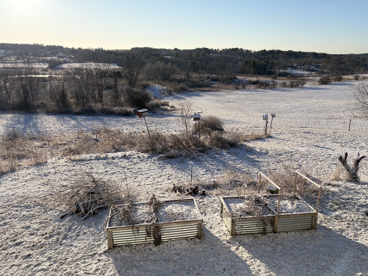 Light snow across back yard (including raised planting beds) and fields beyond, 8 April 2026 in central Maine, USA