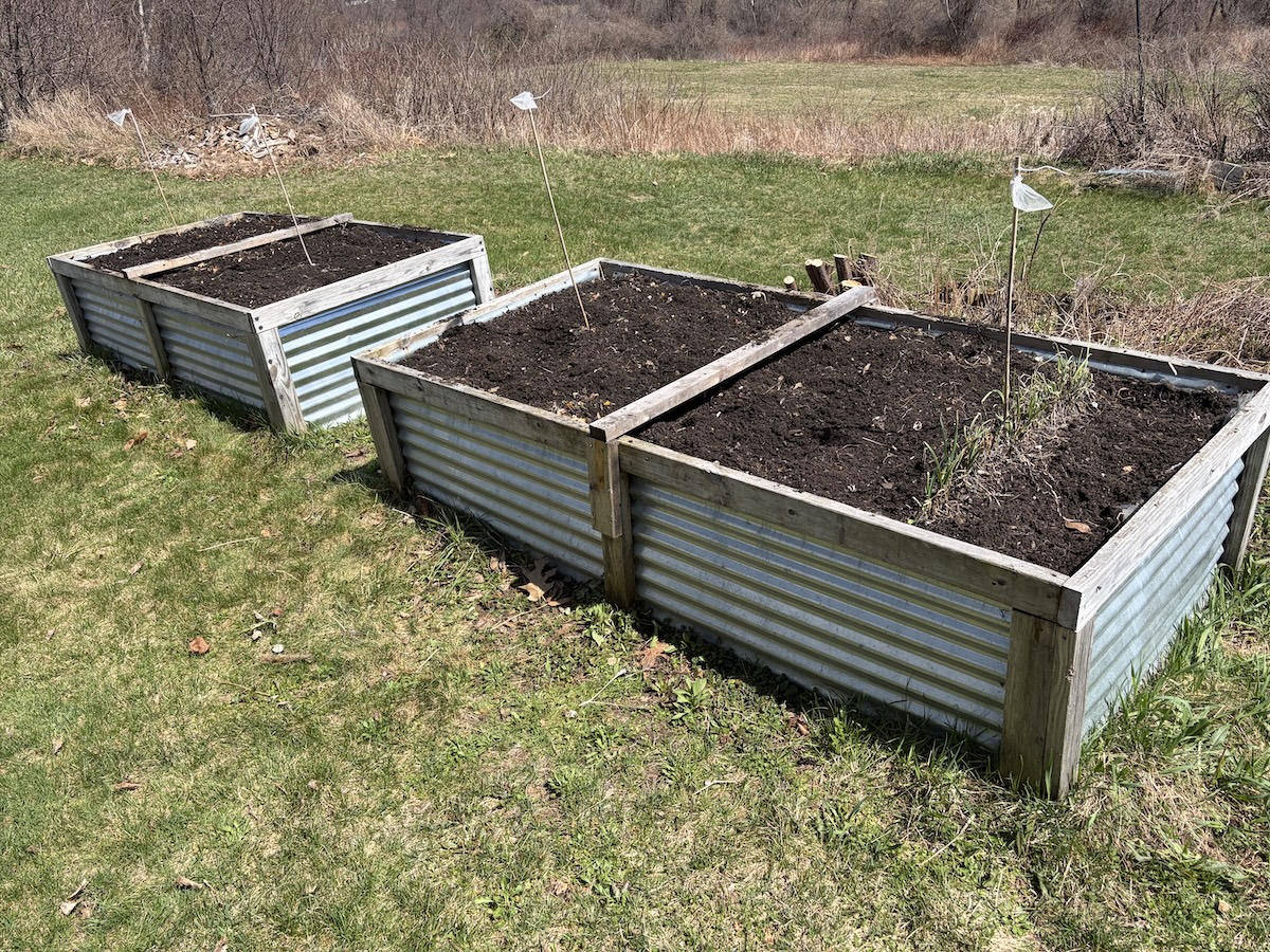 Cleaned out two veggie garden raised beds, left just the row of leeks in case they do something interesting.