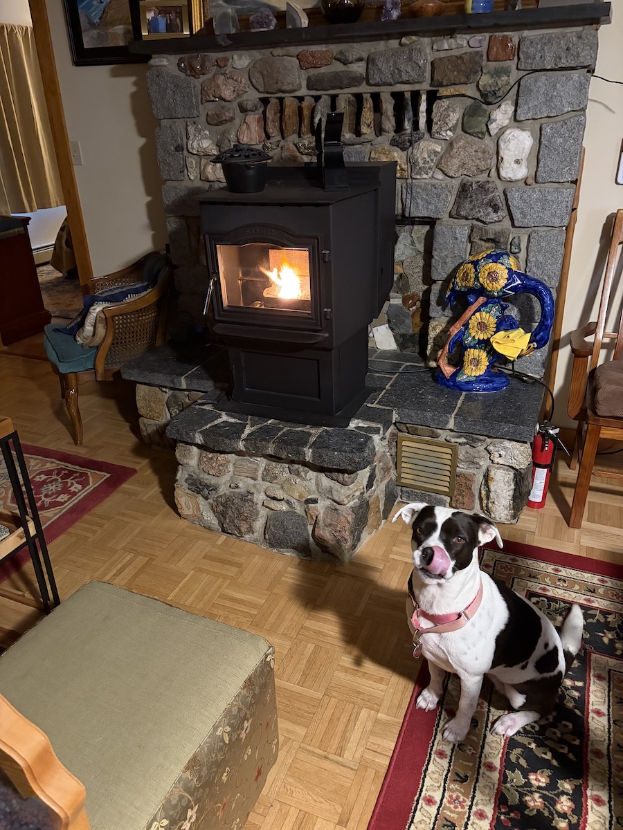 Living room scene: pellet stove alight in background, dog in foreground licking her nose.