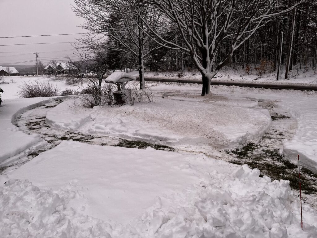 Cleared paths of snow for Georgia to use the front yard with more ease and interest.