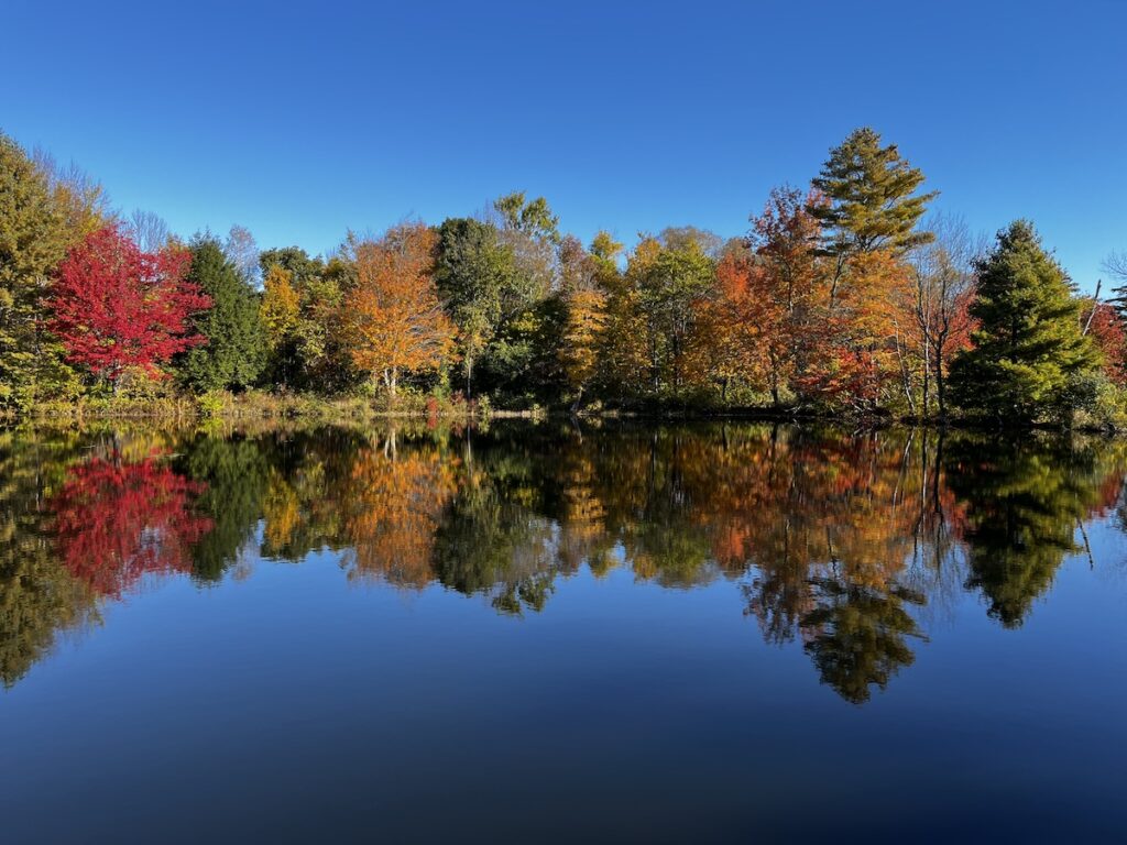 Fall color - the leaves changing color on the trees, reds, oranges, and yellows, reflected in the pond in the foreground.