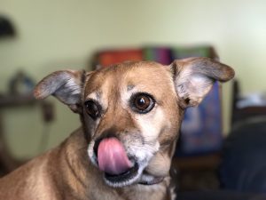 Is my nose okay?