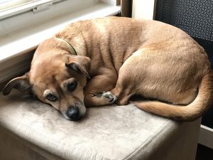 Rainy Day Lexi