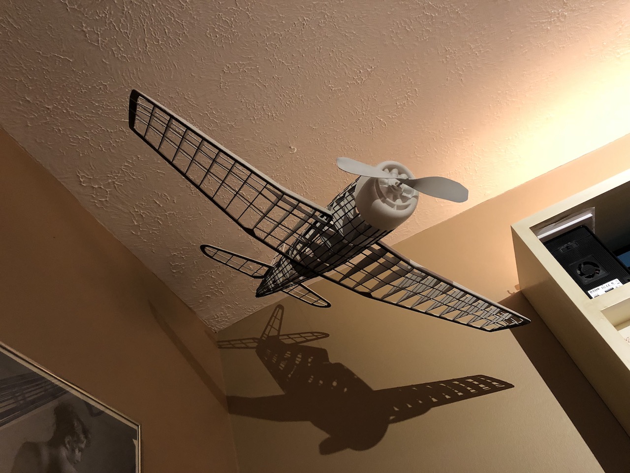 Img 7822 Orb Designs Skeletal F6f3 Cat Model Hanging From The Ceiling In My Home Office