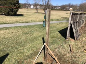 New fence post in hole, ready for concrete.